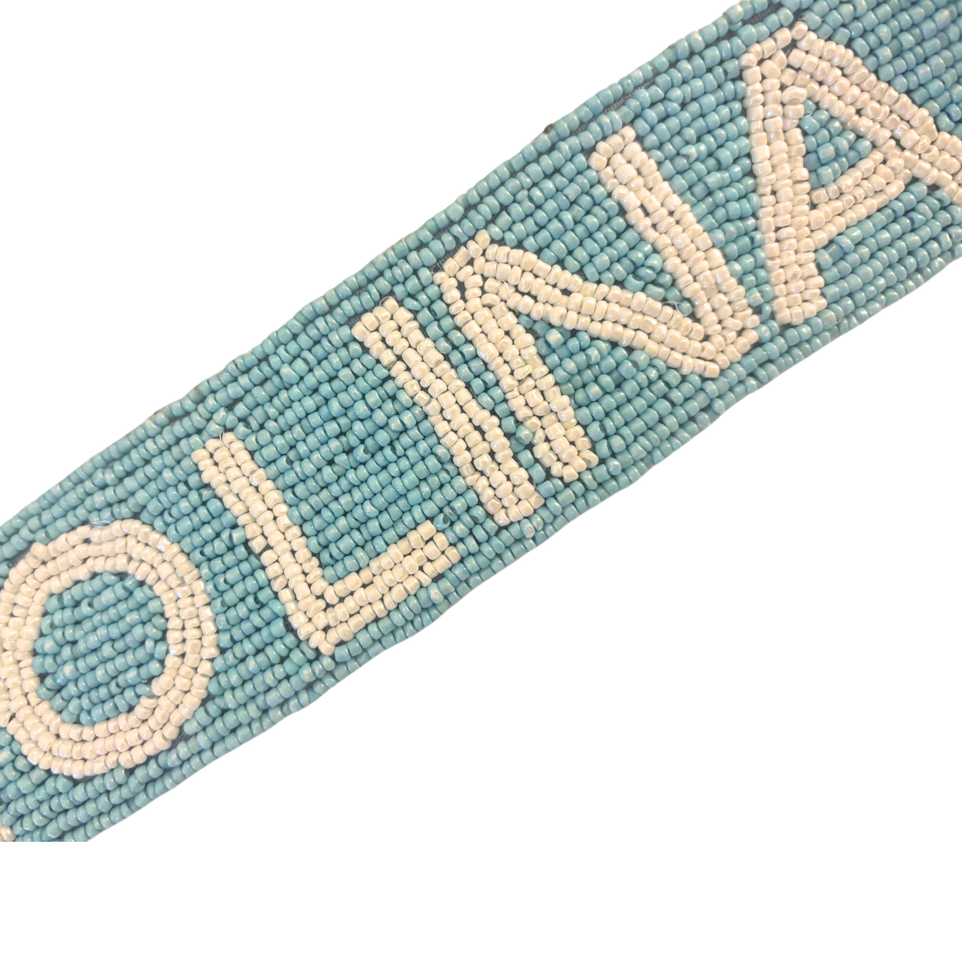 detail of Carolina Gameday purse strap which makes a great college student gift idea