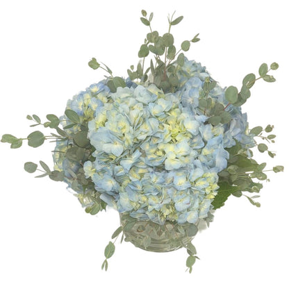 Close-up of the Carolina Blue Floral Arrangement, highlighting the fresh hydrangeas and lush greenery in a 5" spherical vase, ideal for UNC students in Chapel Hill