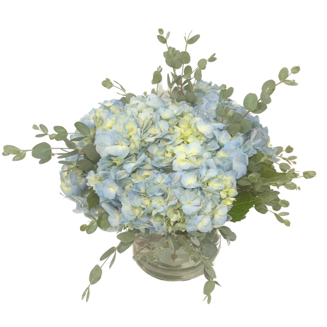 Carolina Blue Floral Arrangement from the front, featuring fresh hydrangeas and lush greenery in a 5" spherical vase, hand-delivered to UNC students in Chapel Hill.